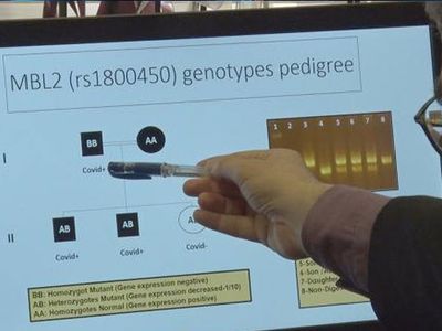Lektin Proteini Eksikliği Koronavirüs'ün Ağır Geçirilmesine Sebep Oluyor