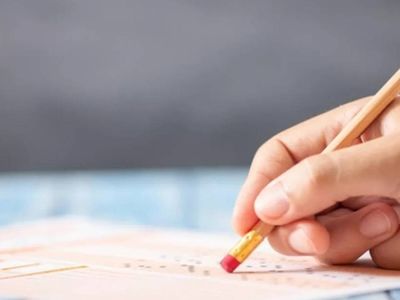 LGS yerleştirme sonuçları nereden öğrenilir? LGS sonuçlarını öğrenmek için şifre gerekli mi? 2022 LGS yerleştirme sonuç ekranı