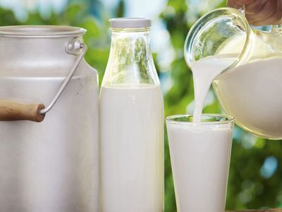 Lıkır lıkır içilen ‘Çiğ süt akımı’ sağlığı tehlikeye atıyor!