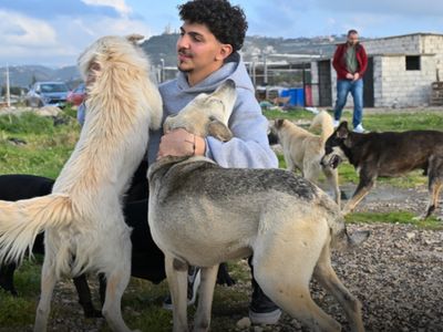 Lübnanlı Genç, Saldırılar Altındaki Bölgelerde Hayvanları Kurtarıyor