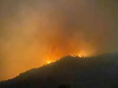Manavgat’ın Ardından Gazipaşa’da da Orman Yangını Başladı