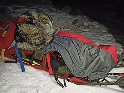 Mahsur Kaldığı Dağda Donmak Üzere Olan Adamı Köpeği Kurtardı