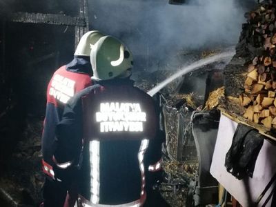 Malatya'da Kümeste Çıkan Yangında 250 Hayvan Telef Oldu