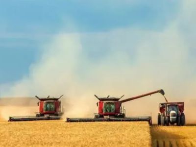 Malatya'dan sevindiren haber: Ekilen buğday yüksek verim verdi