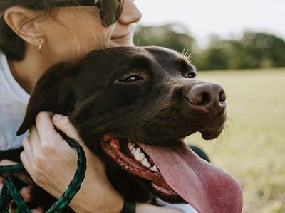 Malezya'da Köpekten İnsana Geçen Koronavirüs Türü Tespit Edildi