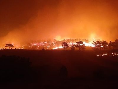 Ankara'da Ormanı Yakmaya Çalışan Örgüt Üyelerine Suçüstü