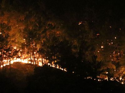 Manavgat'tan Acı Haber Geldi! 2 Yangın İşçisi Hayatını Kaybetti