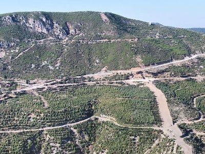 Manisa'da 5 yıl önce yanarak küle dönen yüzlerce hektarlık orman yeniden canlandı!