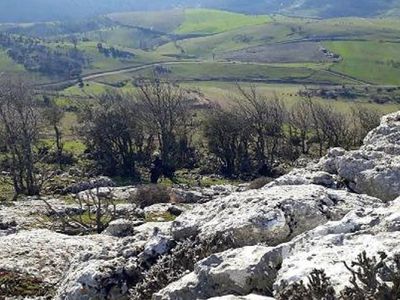 Manisa'da Kaçak Kazı Operasyonunda 3 Kişi Yakalandı