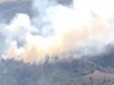 Manisa'da korkutan orman yangını! Ekipler seferber oldu!