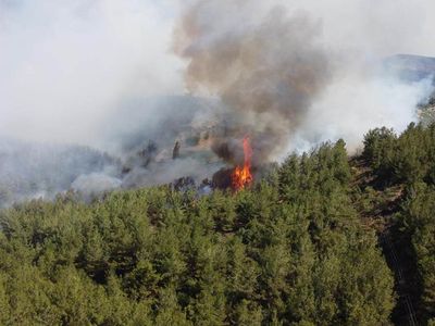 Manisa’da orman yangını: Alevler her yeri sardı