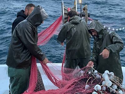 Marmara Bölgesindeki kuvvetli sağanak Balıkçılara yaradı: Kasalar tonlarca hamsiyle doldu taştı