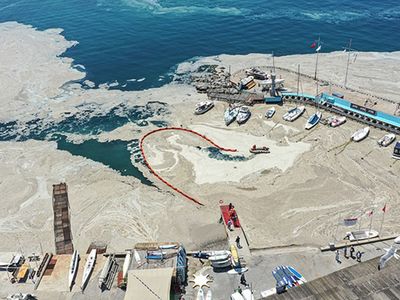 'Marmara Denizi Eylem Planı Koordinasyon Kurulu'na ilişkin Genelge Yayımlandı