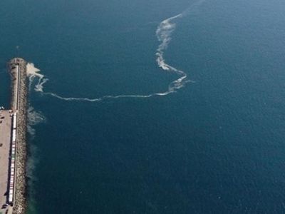 Marmara Denizi'nde 4 Metre Uzunluğunda Dev Köpek Balığı Yakalandı