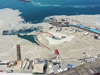 Marmara Denizi'nde korkulan oldu