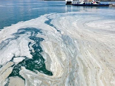 Marmara Denizi'nde Müsilaj Temizleme Seferberliği Tüm Hızıyla Sürüyor!