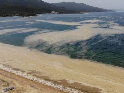 Marmara Denizi’ndeki Deniz Salyaları ABD Basınında