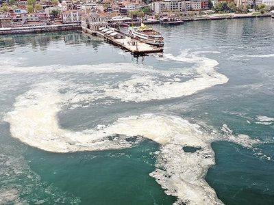 Uzmanlar Uyardı: Marmara Denizi'ndeki Müsilaj İçin Kasım Ayına Dikkat!