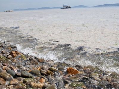 Marmara Denizi'ni Müsilajdan Kurtarmak İçin 3 Aşamalı Yöntem Uygulanmalı!