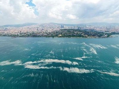 Marmara'dan Kötü Bir Haber Daha! Denizdeki Canlı Yaşamını Bitirebilir