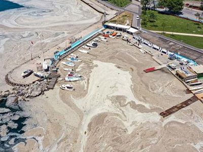 Marmara'ya Müsilajın Ardından Oksijen Azlığı Tehdidi