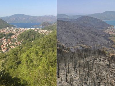 Marmaris İçmeler'den İçimizi Yakan Görüntüler Geldi