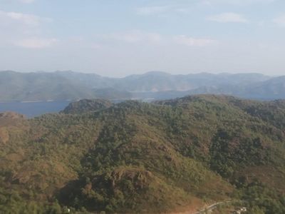 Marmaris'te Orman Yangını: Rüzgarın Etkisiyle  Büyümesinden Korkuluyor!