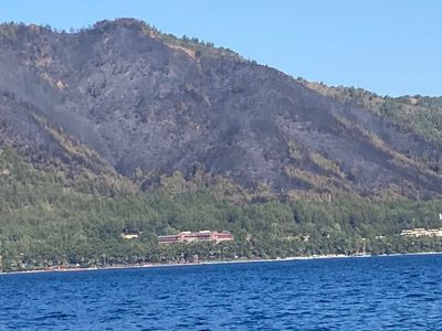 Marmaris'te Yanan Ormanlık Alana Yeni Ağaçlar Dikilecek