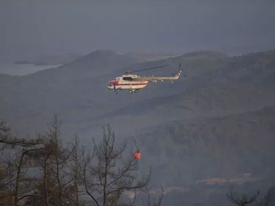 Marmaris'teki orman yangınına müdahale devam ediyor: Sabotaj ihtimali yüksek!