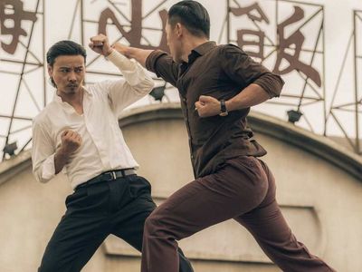 Master Z Ip Man Legacy film konusu ve oyuncuları