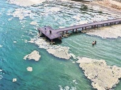 Mavi bayraklı Altın Kemer Plajında Deniz Salyası Kabusu
