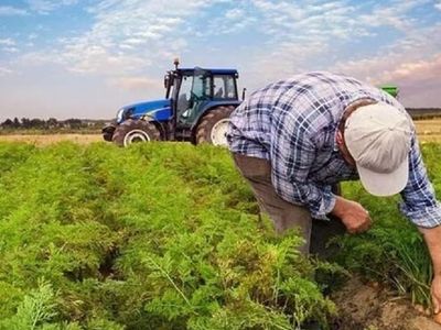 Mazot gübre desteği ne zaman yatacak? Mazot gübre desteği ne zaman, kimlere ödenecek?