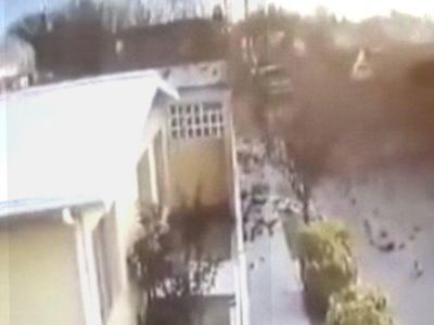Meksika'da Akıl Almaz Olay! Kuş Sürüsü Bir Anda Yere Çakıldı