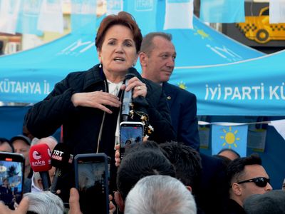Meral Akşener'den CHP'ye gönderme: Kurt kışı geçirir ama yediği ayazı unutmaz