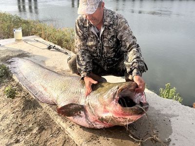 Meriç Nehri'nde Rekor Balık Avı