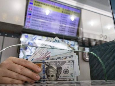 Merkez Bankası kritik kararı açıkladı:  Dolar satışı yapılmayacak