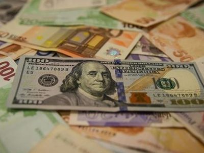 Merkez Bankası Yabancı Para Karşılık Oranlarını Yükseltti
