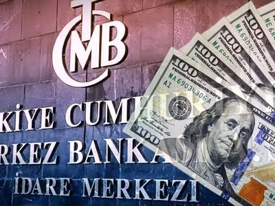 Merkez Bankası yıl sonu anketlerini açıkladı: Dolar tahmini yükseldi