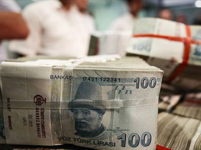 Merkez Bankası’ndan rekor: Döviz rezervleri yılın zirvesini gördü