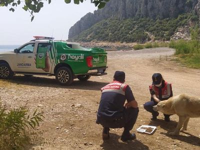 Mersin’de Jandarma Ekipleri Sokak Hayvanlarını Unutmadı