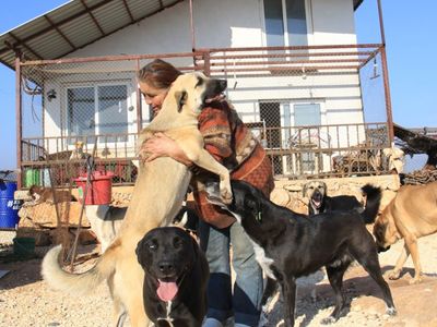 Mersin’de Kalabalık Aile Görenleri Şaşırtıyor: 80 Hayvanıyla Birlikte Yaşıyor