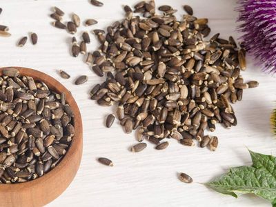 Meryemana dikeni ne işe yarar, tohumu nasıl kullanılır? Sedef hastalığının doğal ilacı olan Meryemana dikeninin faydaları 