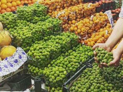 Meşhur Malatya Kayısı Çağlaları Tezgahlarda Yerini Aldı