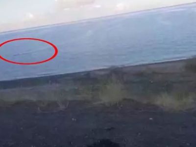 Meşhur Van Gölü Canavarı Yıllar Sonra Yeniden Ortaya Çıktı!