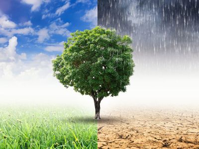 Meteoroloji Genel Müdürlüğü 2024 yılın temasını ‘‘İklim Eyleminin Ön Saflarında’’ olarak belirledi!