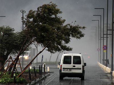 Meteoroloji Uyarmıştı! Antalya’da Etkili Olan Şiddetli Fırtına Ağaçları Devirdi!