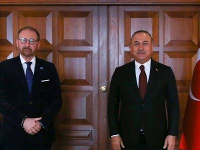Mevlüt Çavuşoğlu, Avrupa Konseyi Parlamenter Meclisi Başkanı ile Bir Araya Geldi