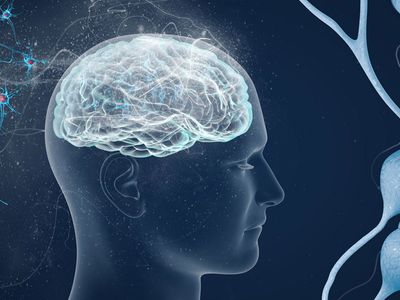 MS hastalığı nedir, belirtileri nelerdir, genetik mi? Cinsel sağlık sorunlarına yol açan MS hastalığı ile ilgili bilinmesi gerekenler