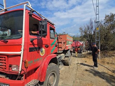 Mudanya'da Orman Yangını Kontrol Altına Alındı