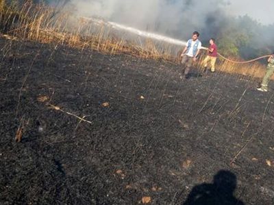 Muğla Datça'da Büyük Yangın: 19 Dönüm Arazi Kül Oldu
